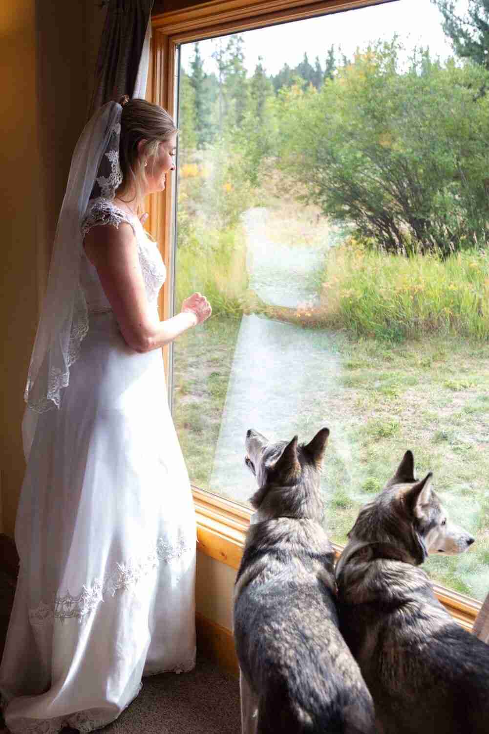 a bride looking outside from a sliding glass door with her dogs