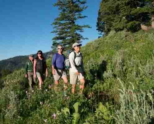 a happy group of hikers make their way through the lush wyoming forest