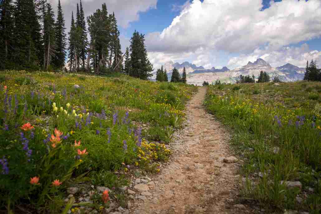 Grand Teton Hiking Trail