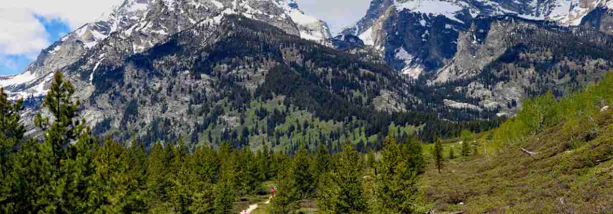 the mountains in Grand Teton National Park